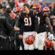 Trey Hendrickson Sacks Quarterback Celebration