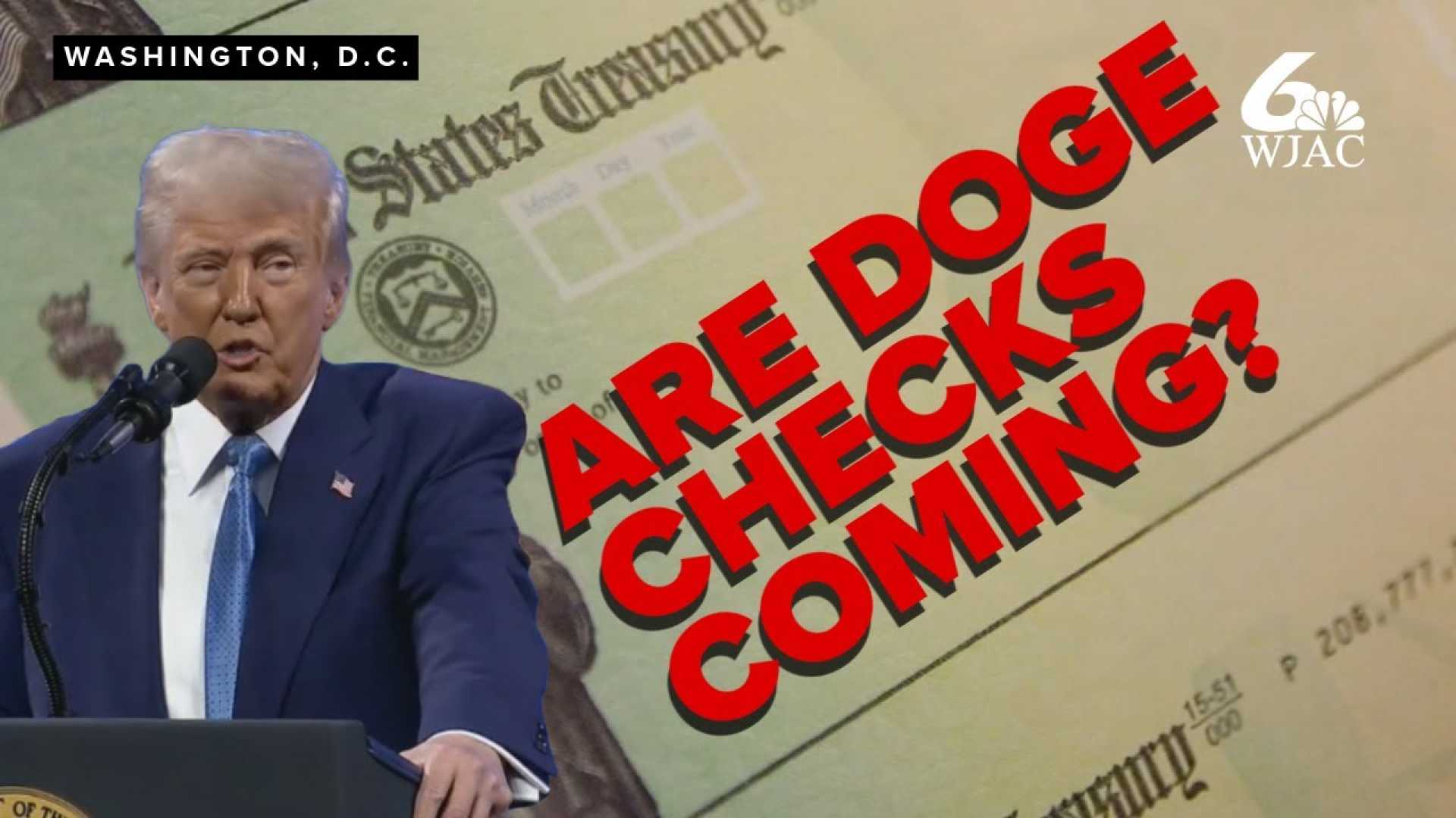 Trump Musk Doge Savings Proposal