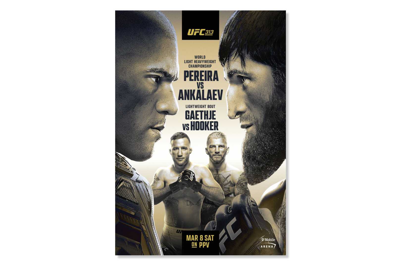 Ufc 313 Fight Night Poster