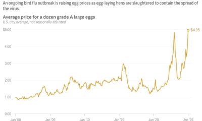 Us Egg Prices Rise Record High