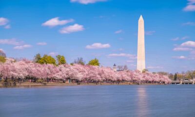 Washington D.c. Cherry Blossoms Tidal Basin