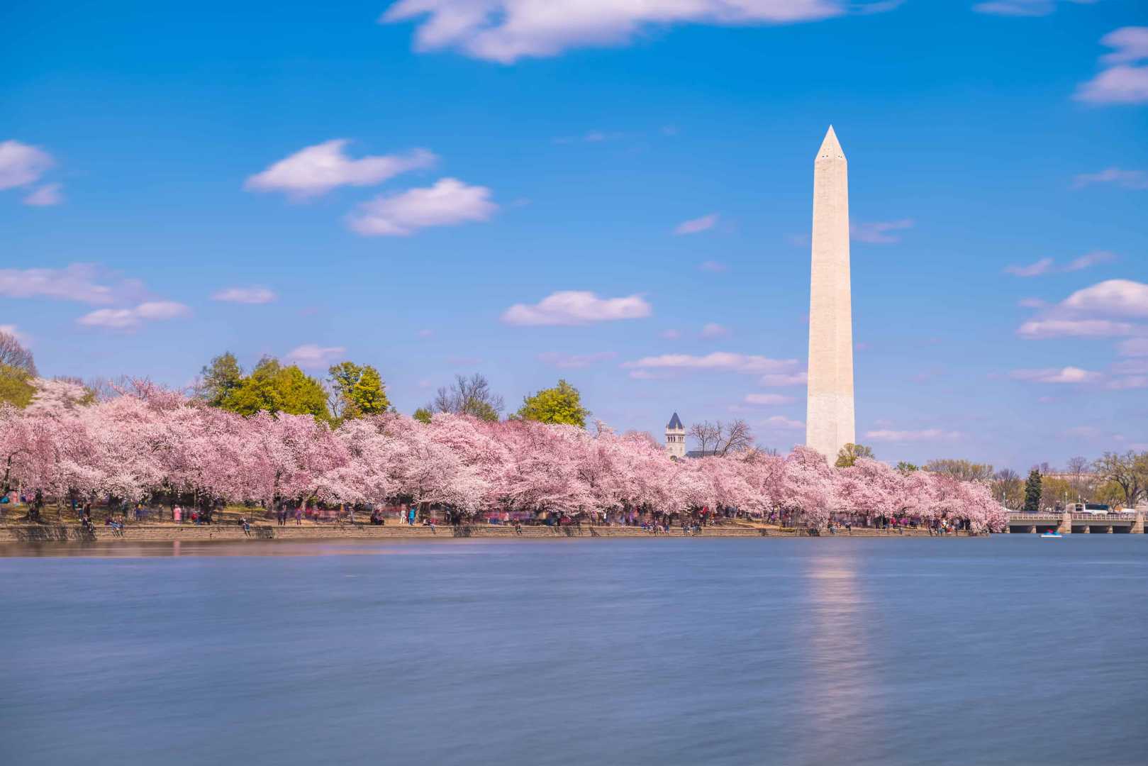 Washington D.c. Cherry Blossoms Tidal Basin