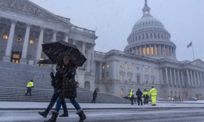 Washington D.c. Snowstorm February 2025