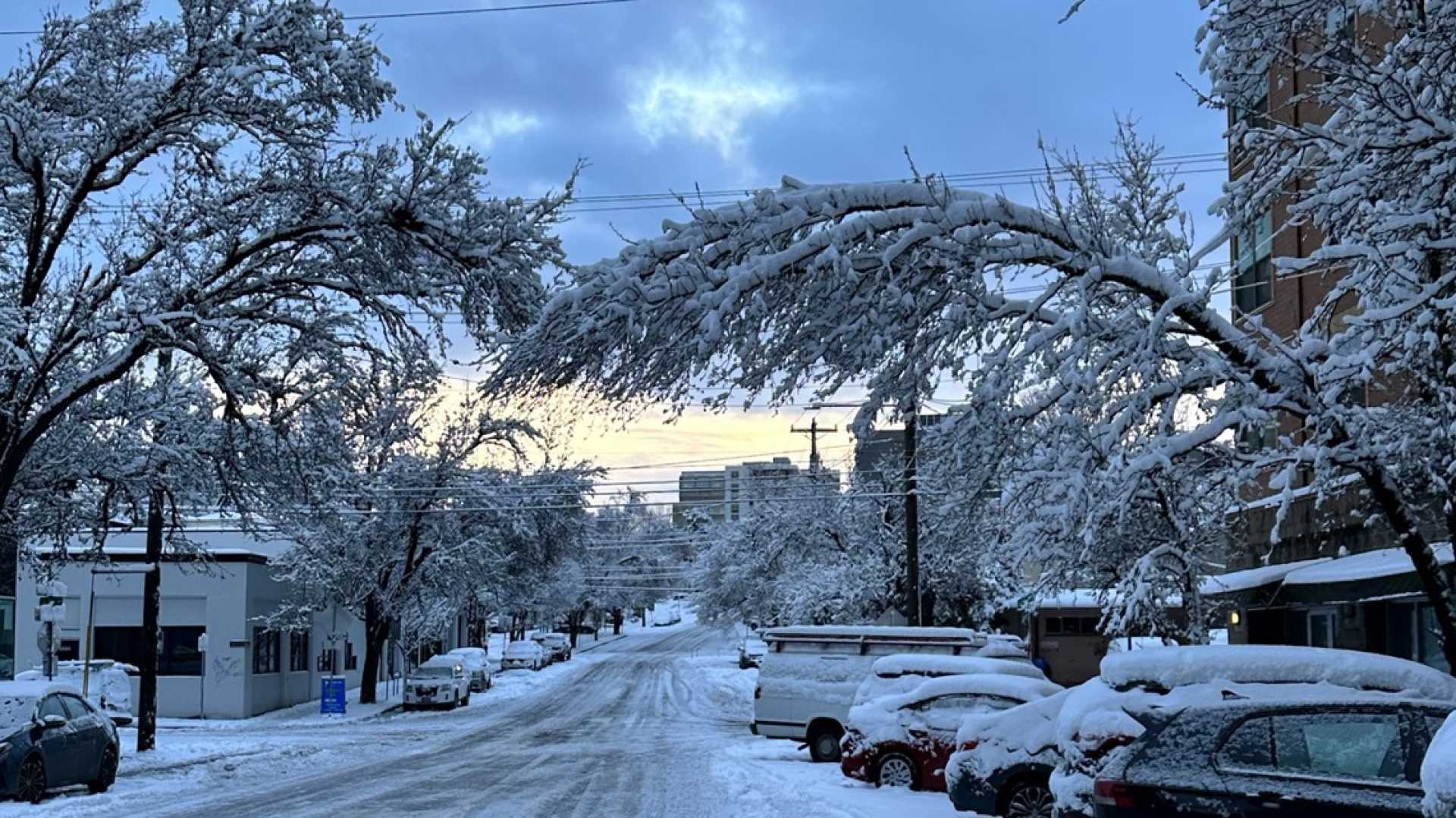 Winter Storm Portland Oregon Snowfall Forecast