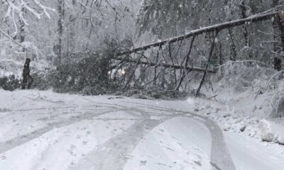 Winter Storm Virginia Power Outages Downed Trees