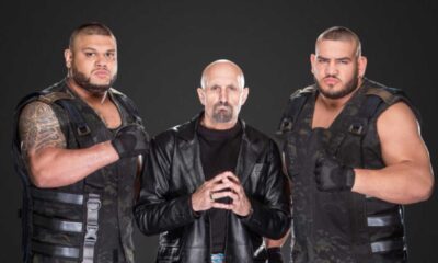 Wwe Sonya Deville Authors Of Pain Release