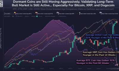 Xrp Cryptocurrency Trends Analysis