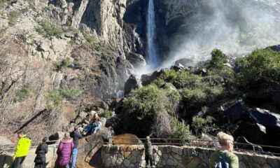 Yosemite National Park Layoffs Wildlife Impact