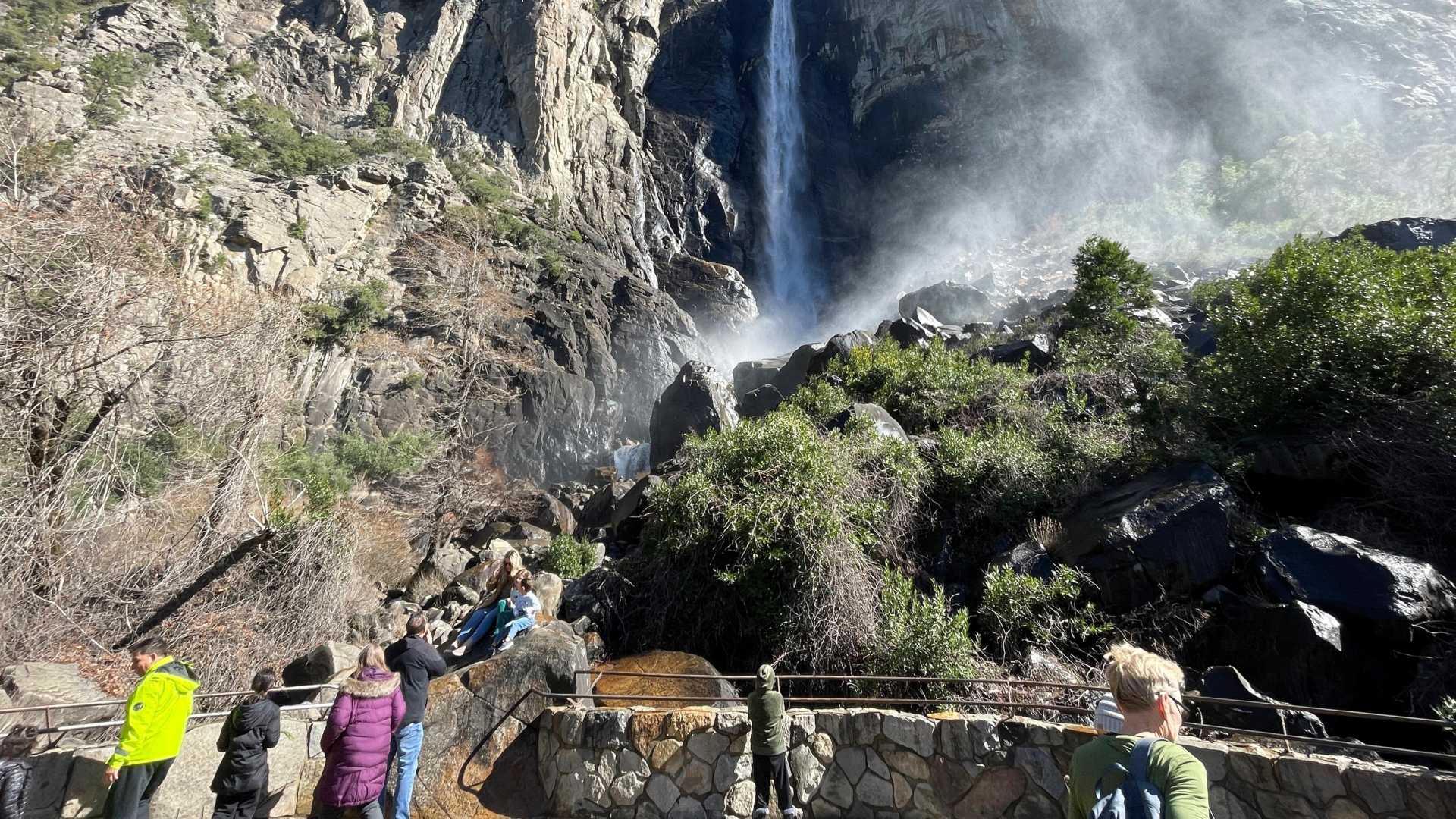 Yosemite National Park Layoffs Wildlife Impact