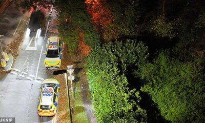 12 Year Old Boy Tree Accident Rescue