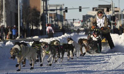 2025 Iditarod Trail Sled Dog Race Start Anchorage Alaska