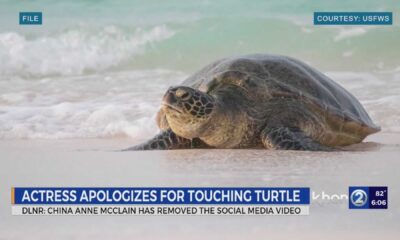 Actress China Anne Mcclain Touching Turtle Hawaii