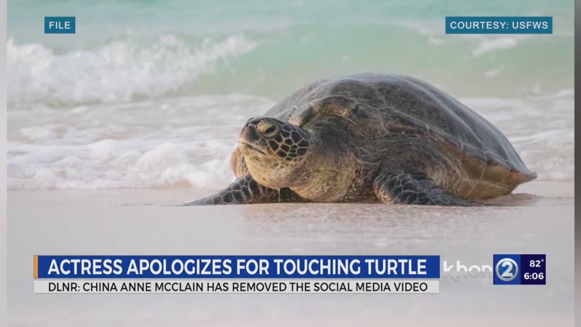 Actress China Anne Mcclain Touching Turtle Hawaii