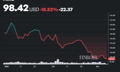 Amd Stock Price Decline Chart