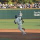 Auburn Baseball Team Playing At Plainsman Park