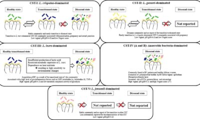 Bacterial Vaginosis Transmission Study