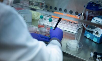 Biomedical Research Lab Funding Cuts