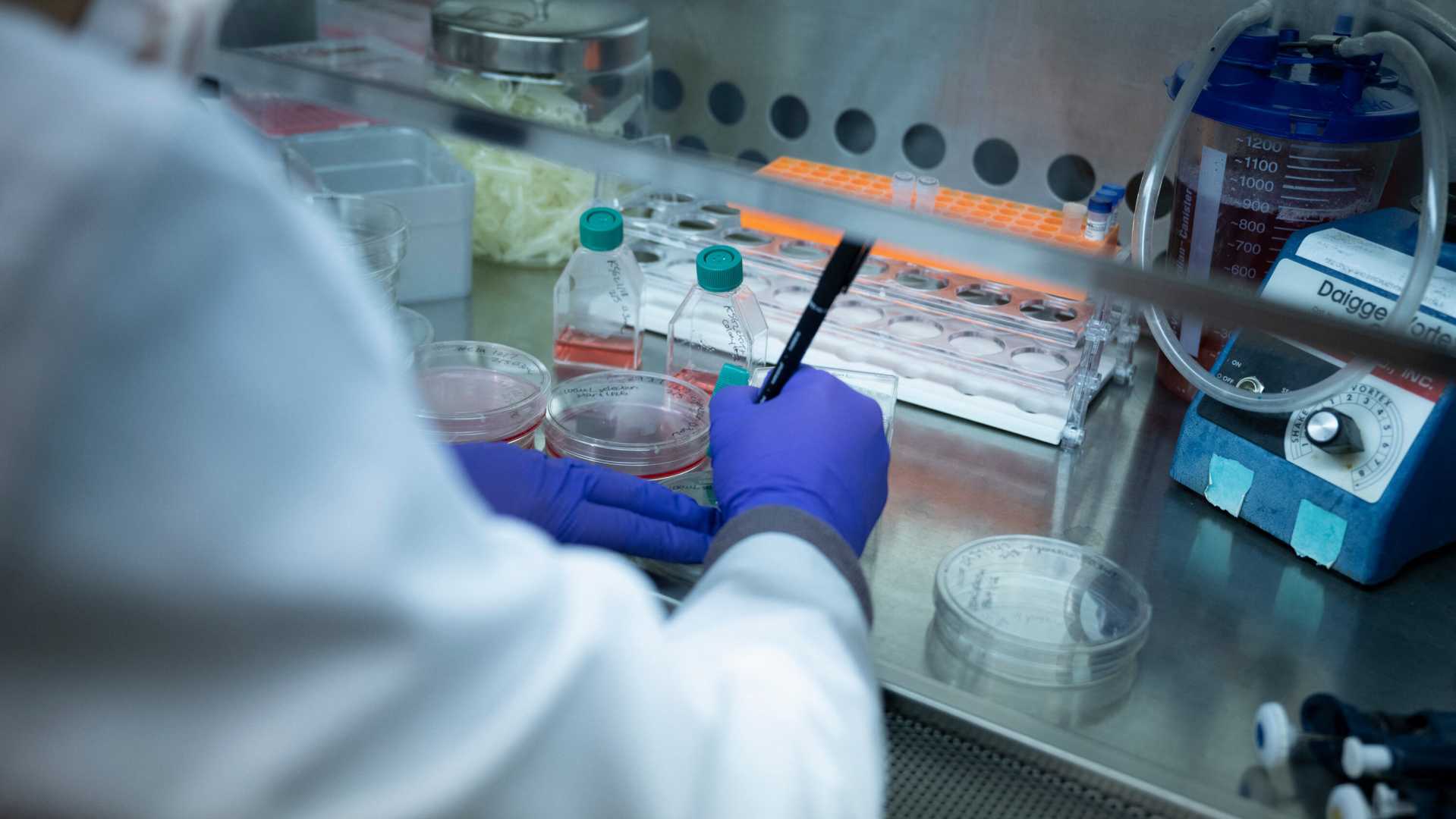 Biomedical Research Lab Funding Cuts