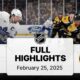 Boston Bruins Vs Toronto Maple Leafs Highlights