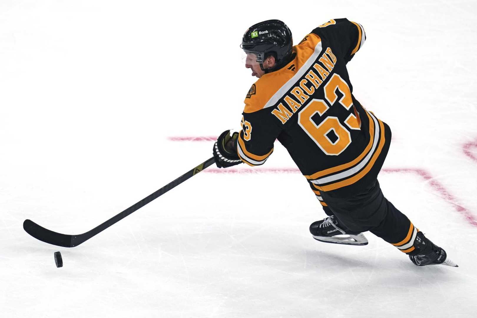 Brad Marchand Injury News Nhl