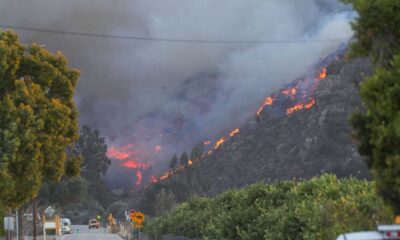 Brush Fires Augusta Georgia February 2025