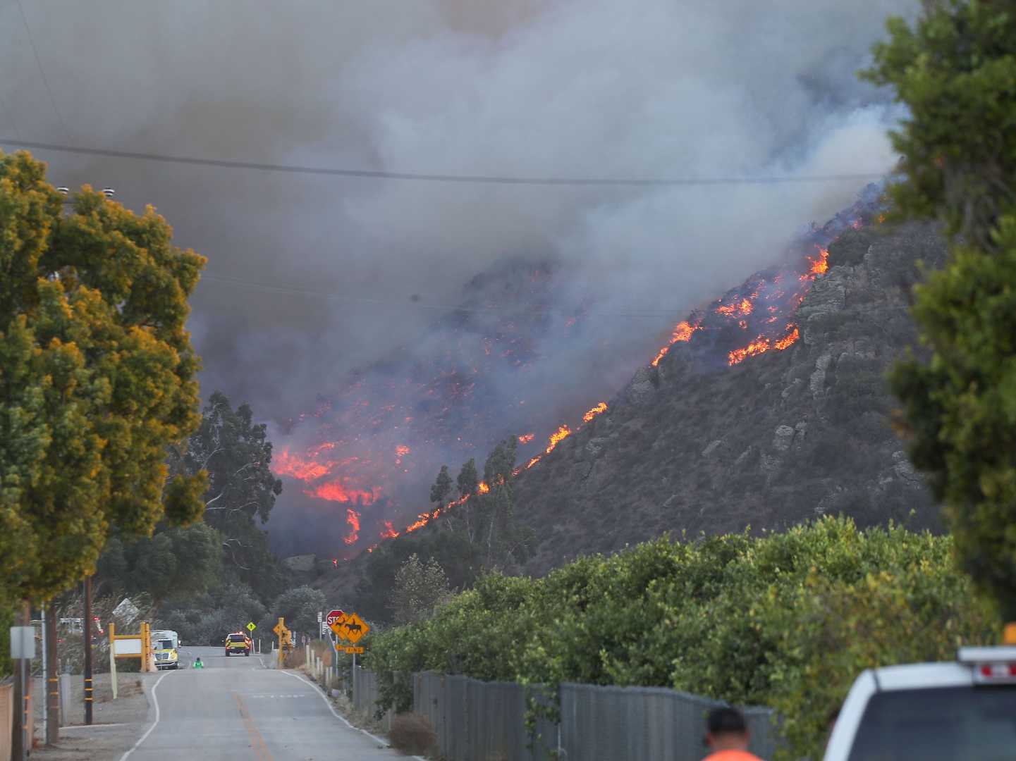 Brush Fires Augusta Georgia February 2025