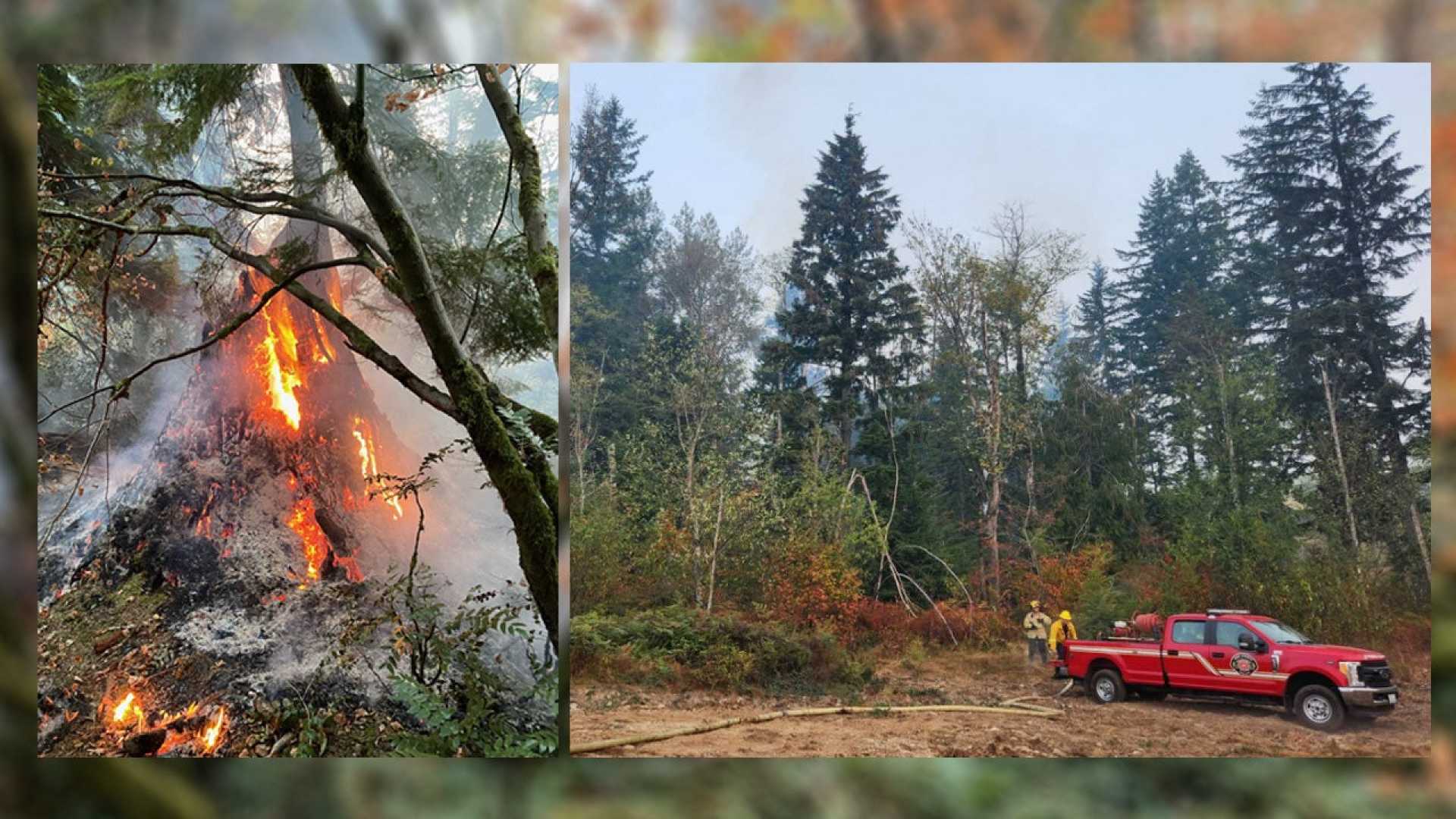 Brushfire In Wooded Area Near Hospital