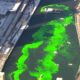 Chicago St. Patrick's Day River Dyeing