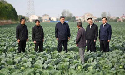 Chinese Agricultural Meeting With Xi Jinping