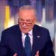 Chuck Schumer Speaking On 'the View'