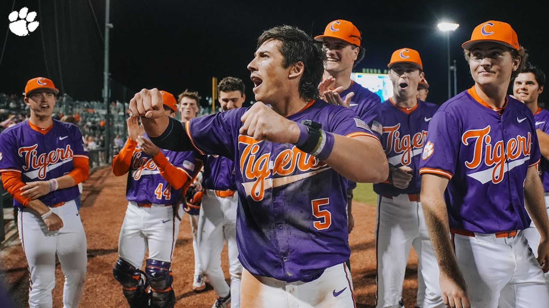 Clemson Baseball Team In Action