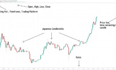 Cryptocurrency Market Trends Analysis