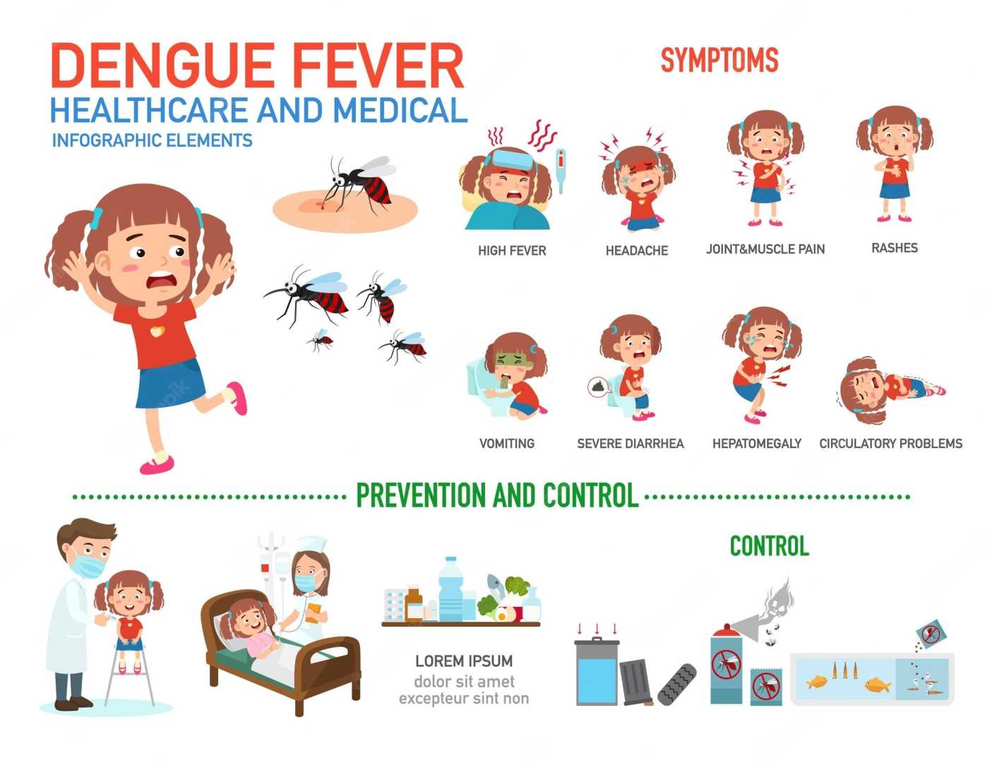 Dengue Fever Symptoms Mosquito Prevention