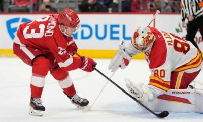 Detroit Red Wings Action Shots Hockey Game