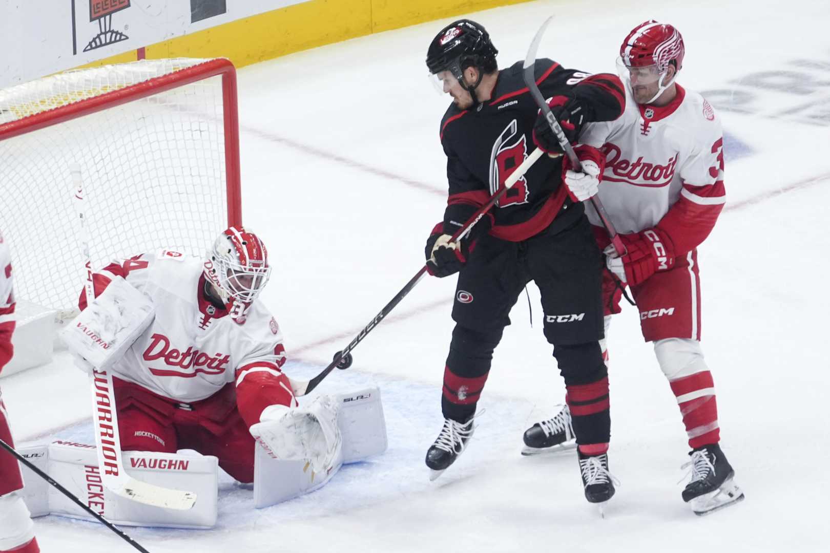 Detroit Red Wings Vs Carolina Hurricanes Game Action