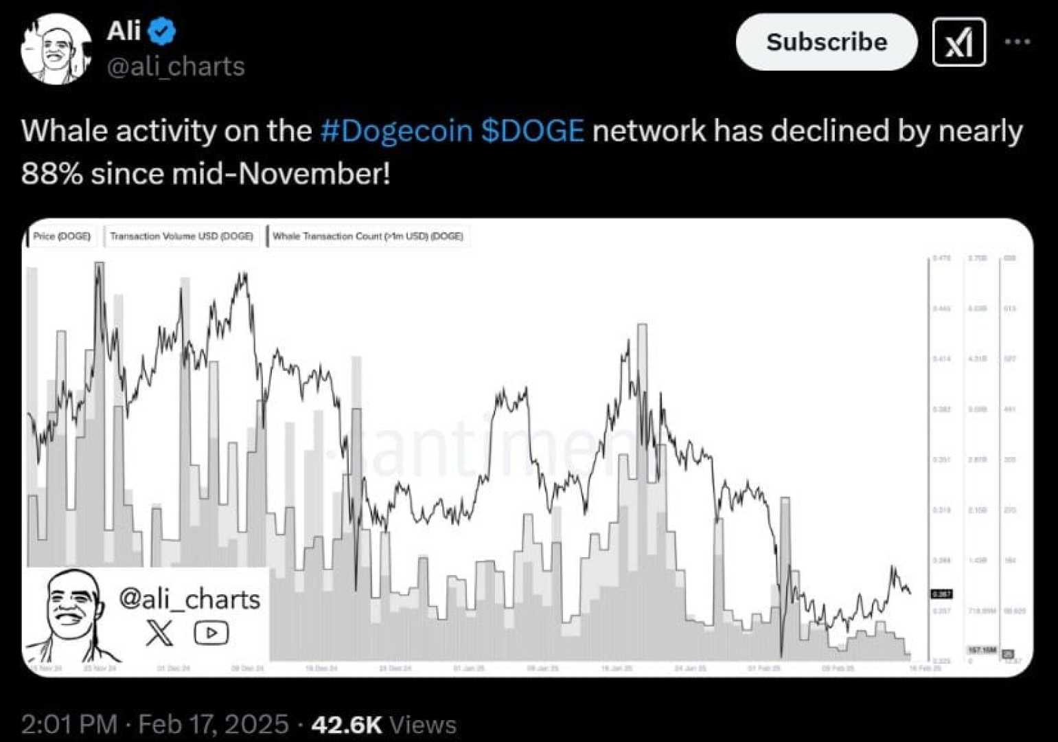 Dogecoin Price Chart February 2025