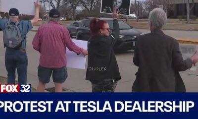 Elon Musk Protest Tesla Dealership