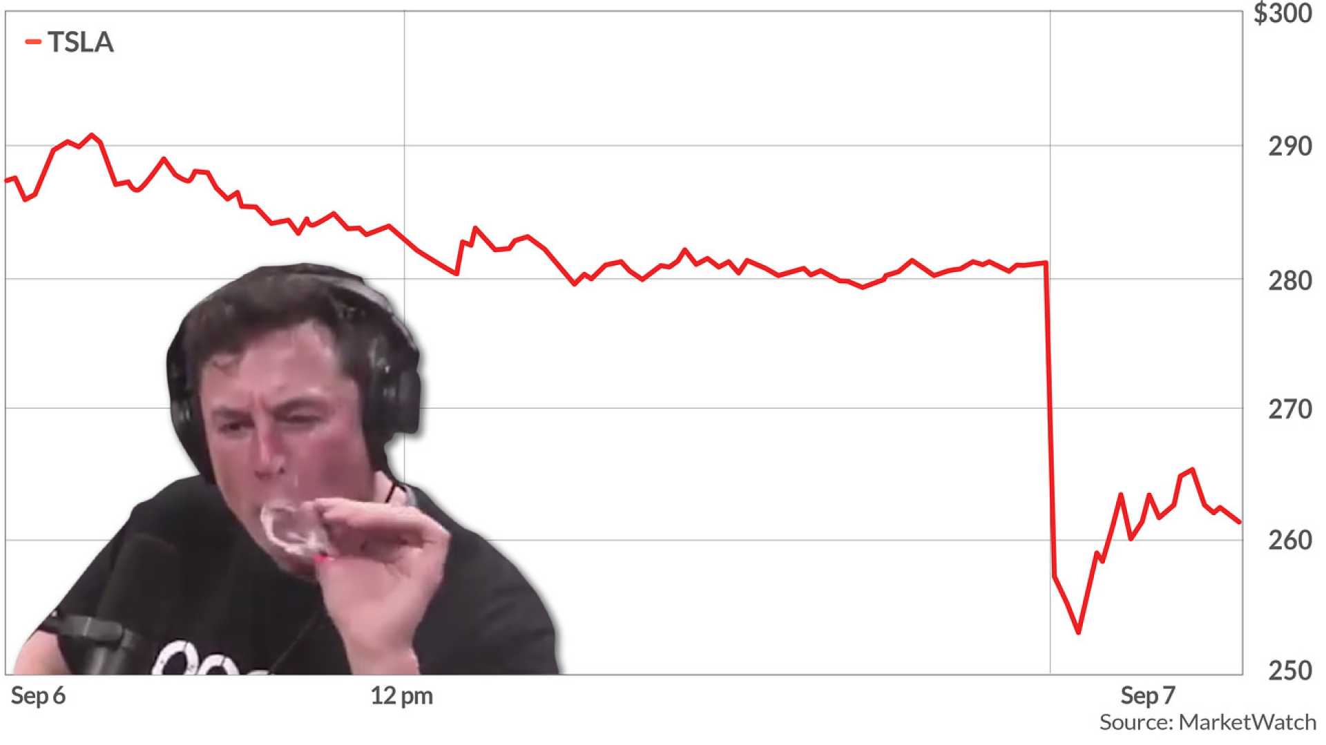 Elon Musk Tesla Stock Decline Controversy