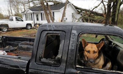 Entergy Mississippi Tornado Relief Donation