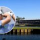 Exciting Golf Playoff At Tpc Sawgrass