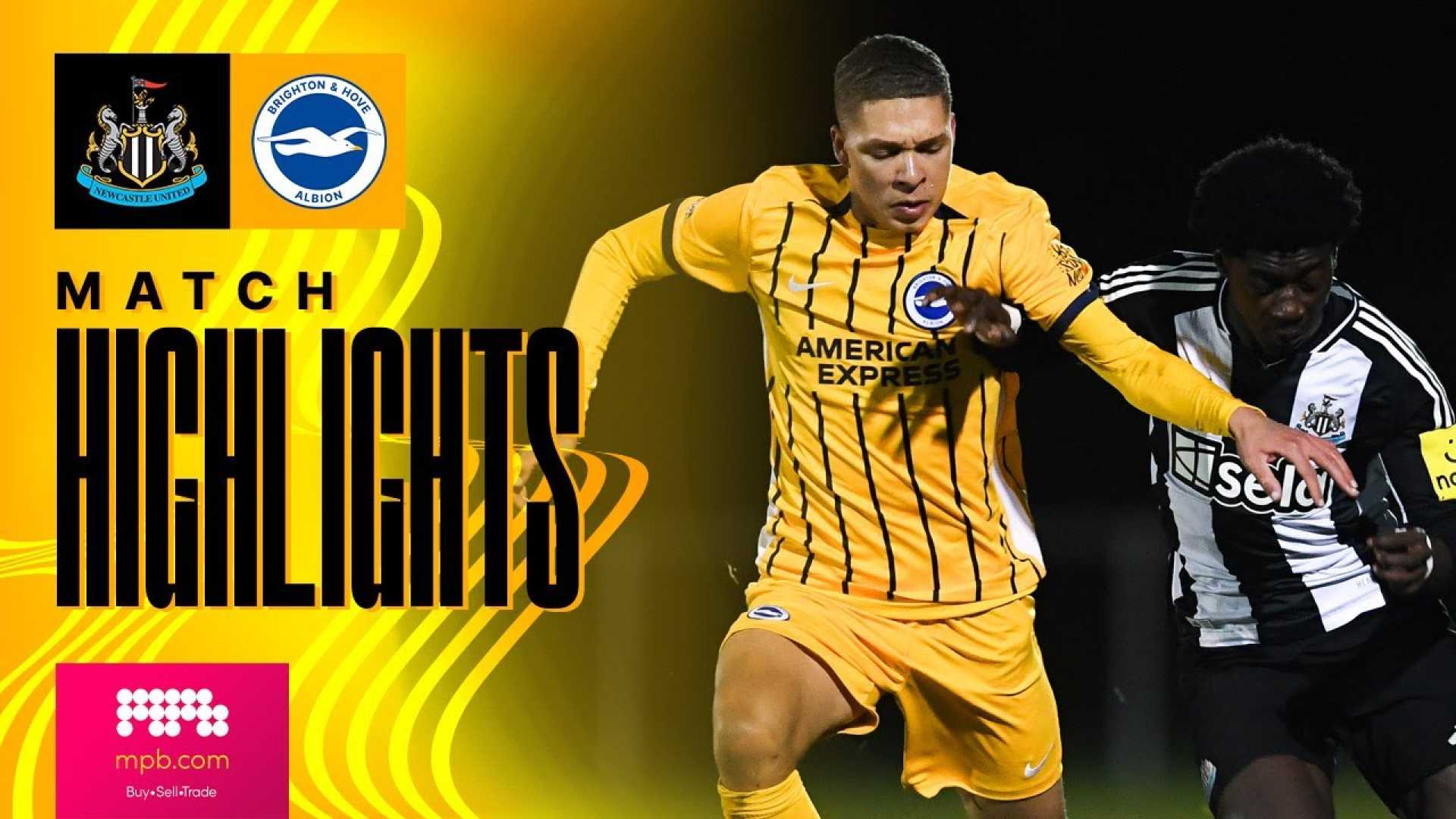 Fa Cup Newcastle Brighton Match Highlights