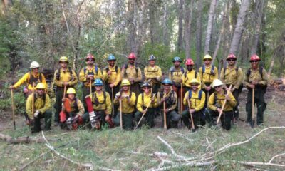 Firefighters Battling Forest Fire Arkansas