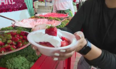 Florida Strawberry Festival 2025 Activities And Food