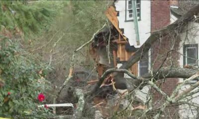 Georgia Severe Storms Damage Power Outages