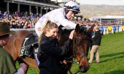 Golden Ace Champion Hurdle Cheltenham Race