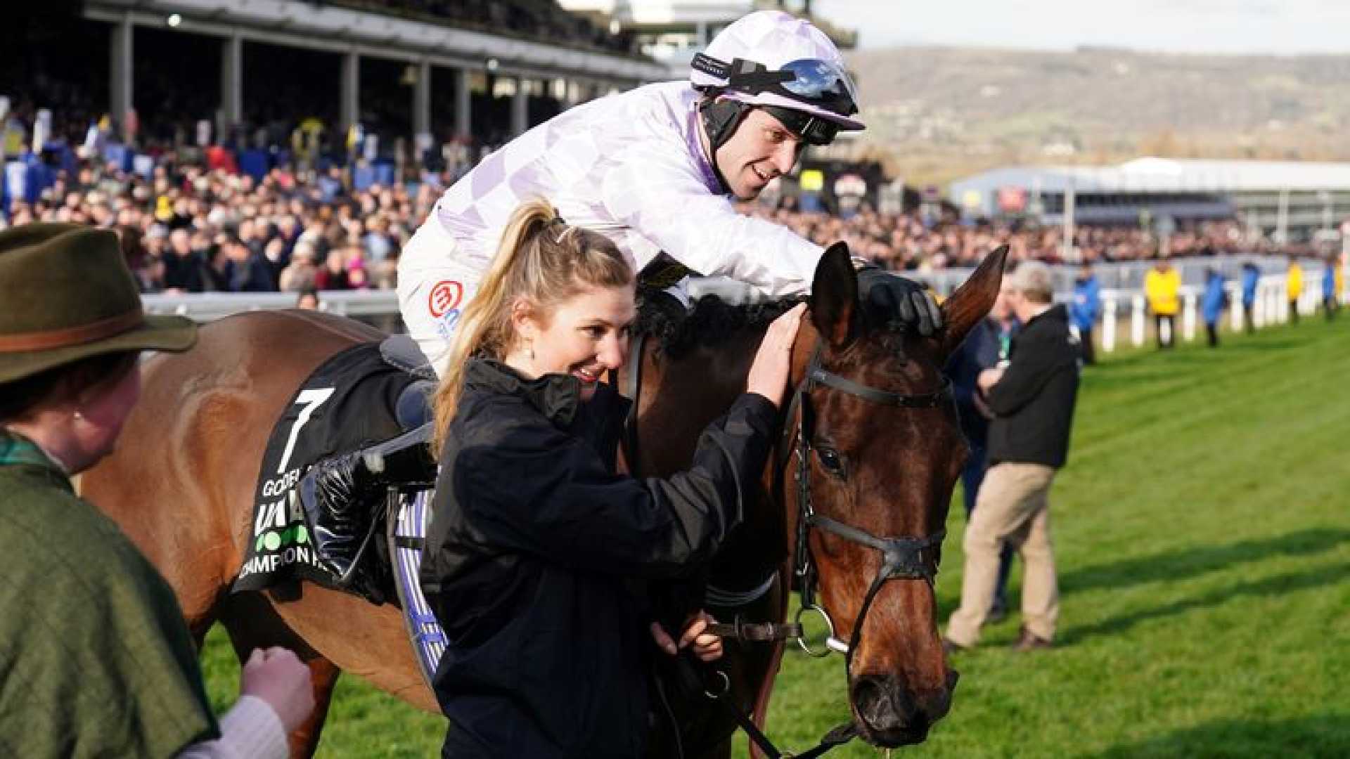 Golden Ace Champion Hurdle Cheltenham Race