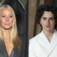 Gwyneth Paltrow Timothée Chalamet Movie Intimacy Coordinator