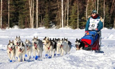Iditarod Dog Sled Race Alaska
