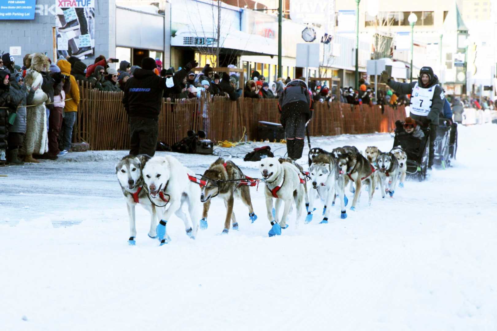 Iditarod Trail Sled Dog Race Finish Line