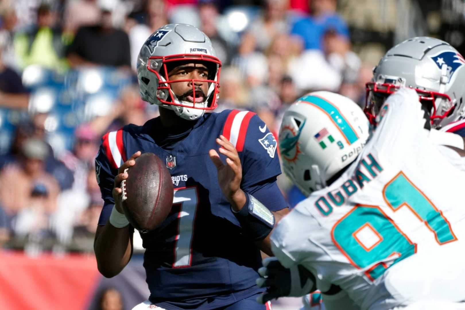 Jacoby Brissett Arizona Cardinals Signing